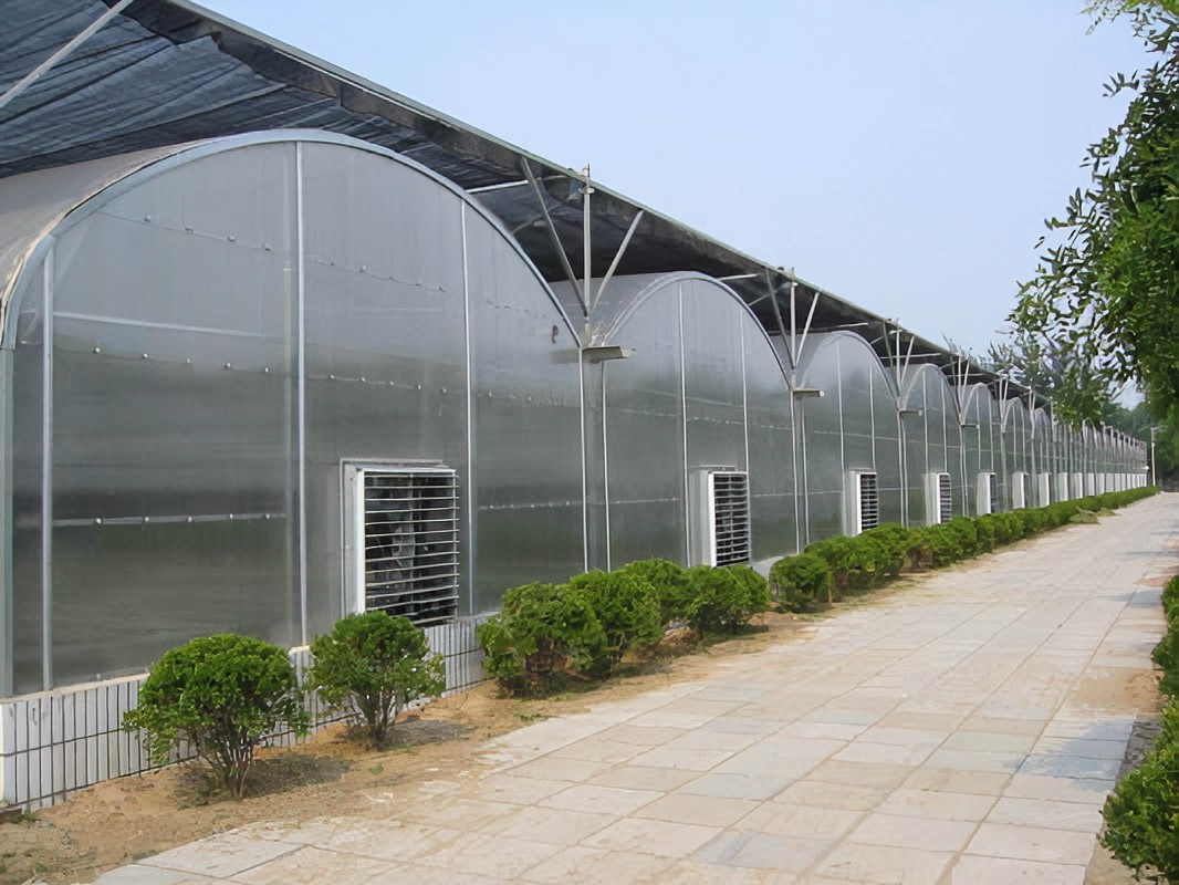 product-1066-800 product-1066-800
